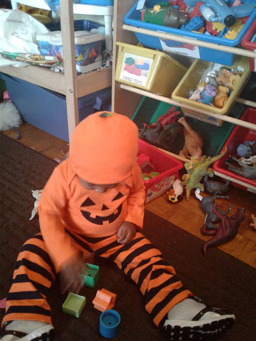 Gallery Image 12